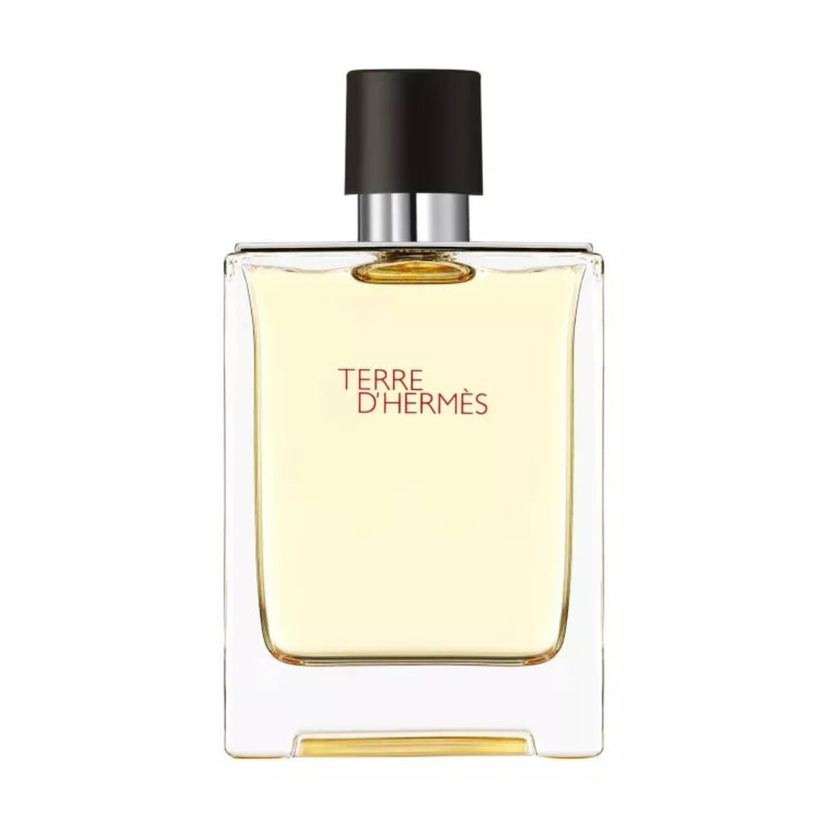 Hermes Terre D'hermes EDT 100 ml TESZTER